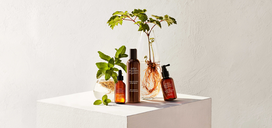 The Importance of Scalp Care