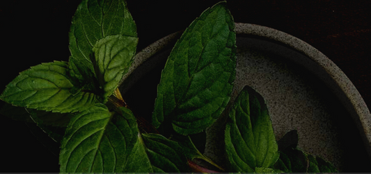 Shop Consciously With Us