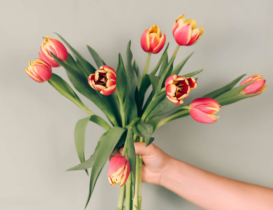 Mother's Day Pairings